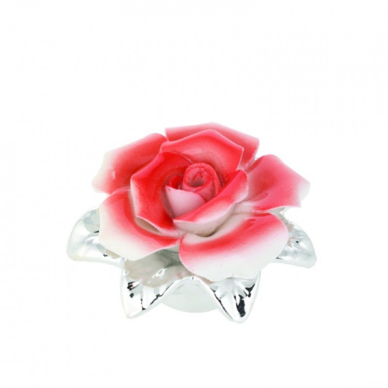 Rosa Perfumada Bilaminada